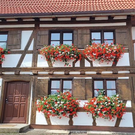 Ferienwohnung Hiemer Bad Grönenbach Exterior foto